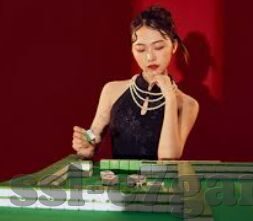 pg电子游戏哪里玩-在科技与娱乐交织的浪潮中探寻PG电子游戏世界